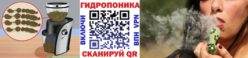 Canna-Cookies конопля  что такое   дарк нет состав  Острогожск 