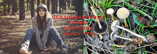 мескалин Беломорск